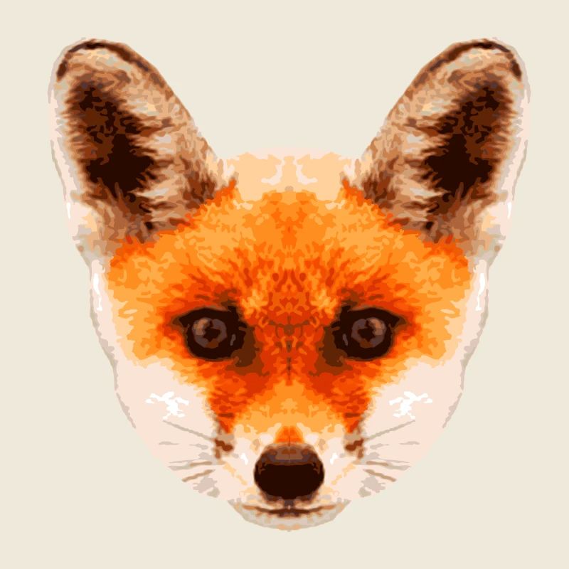 Fox baby * Foxy baby * Hypnosis fox Hypnosis fox