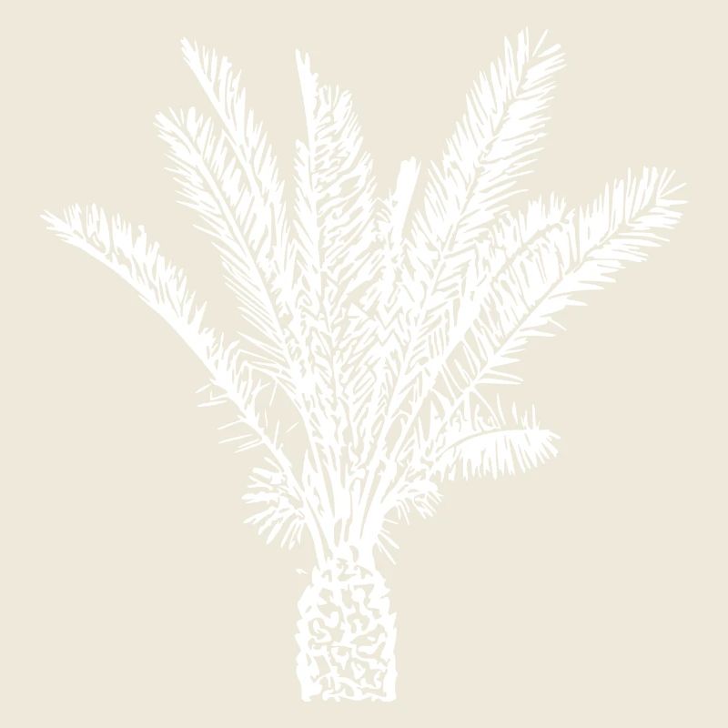 Palmier Blanc