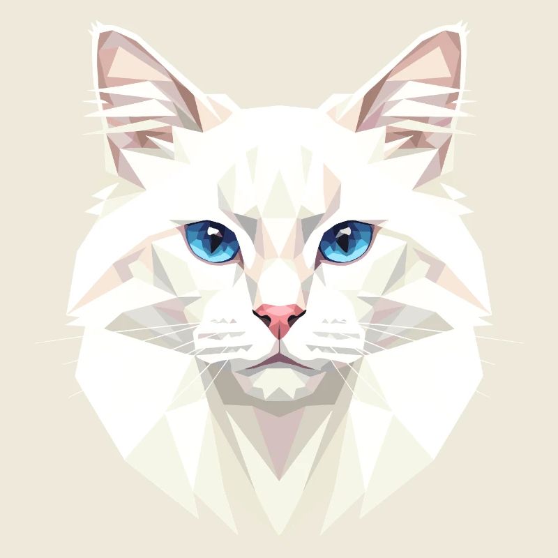 Chat Angora Chat Angora Chat Angora Mignons Chats Angora