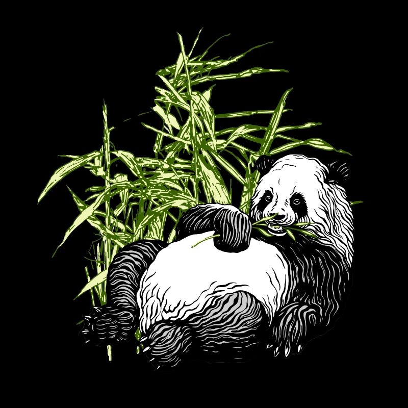 Panda_TS