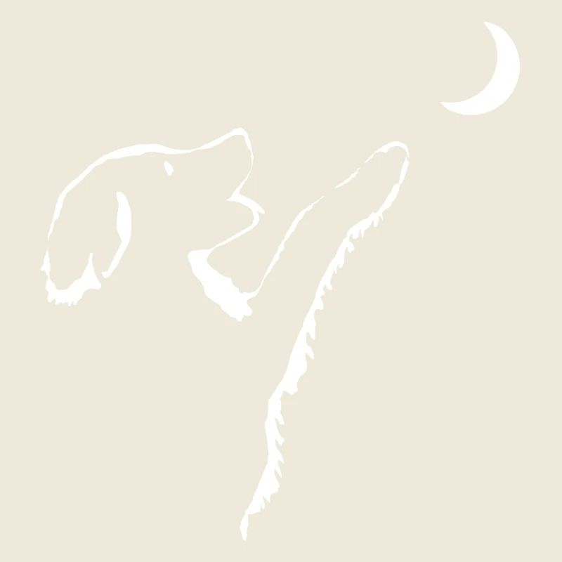 Chien regarde la lune
