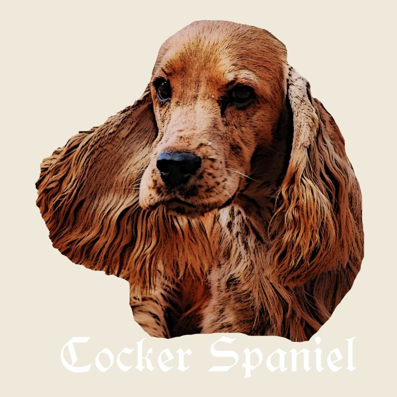 Cocker Spaniel,Spaniel,Dog Head,Pedigree Dog,