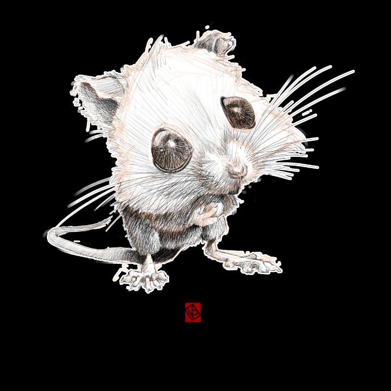 Sketchy Mouse