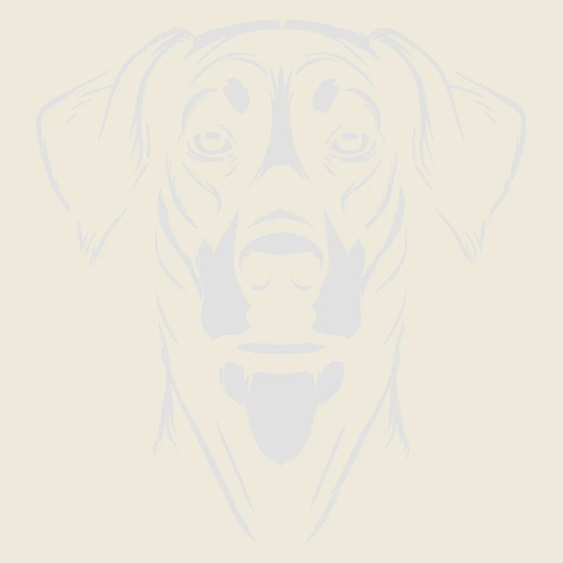 Dobermann