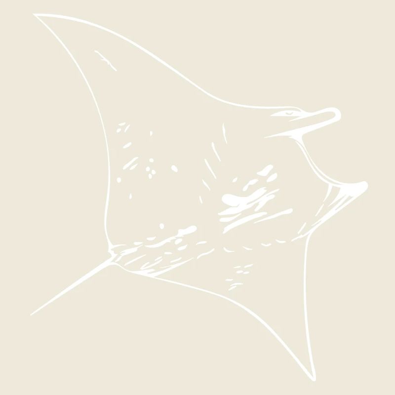 Manta Ray