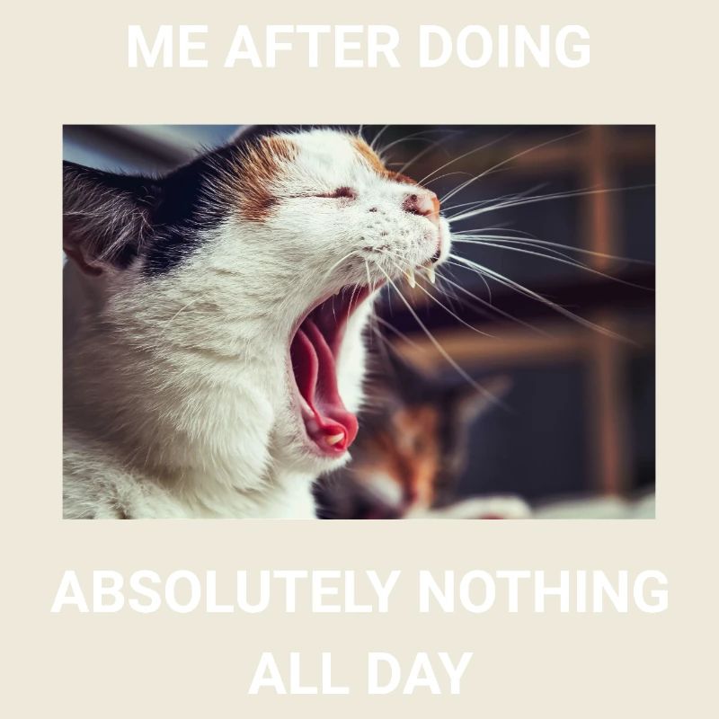ME AFTER DOING ABSOLUTELY NOTHING ALL DAY
