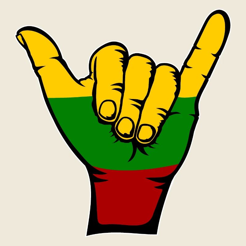 Lithuania Flag Surfing Icon