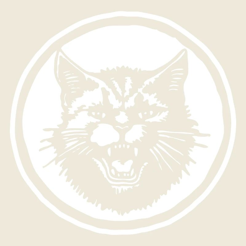 Chat Chats Chat Dame Chat Amoureux Chat Visage