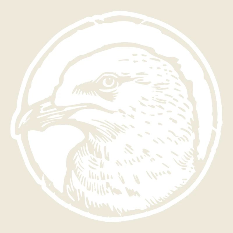 Gull