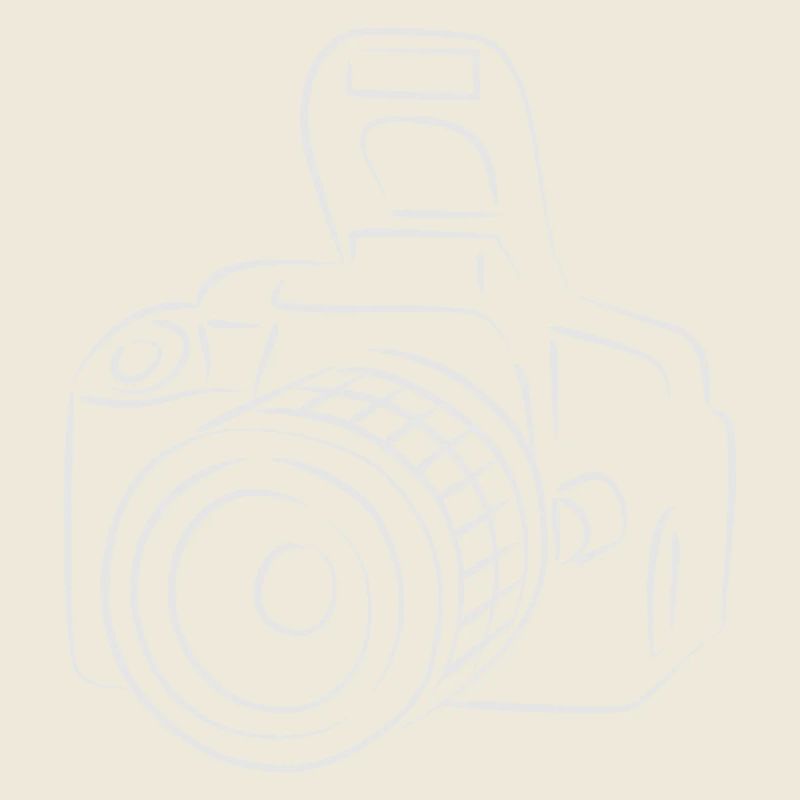 Camera Photographic Line Trend