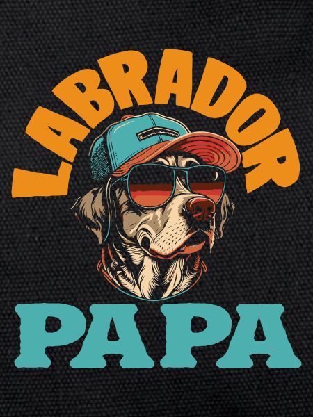 Labrador Tricks
