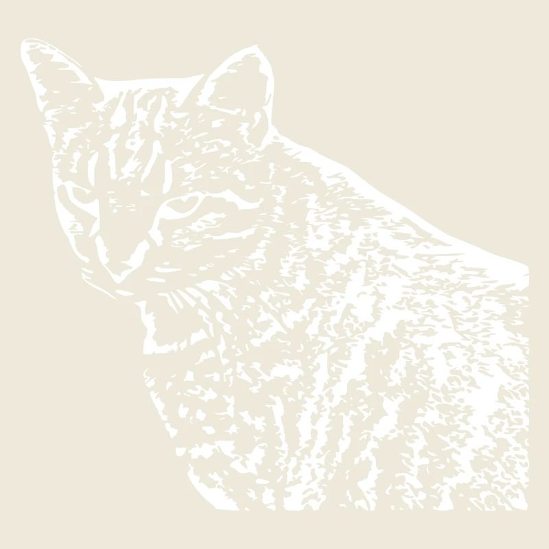 Cat White White Cats