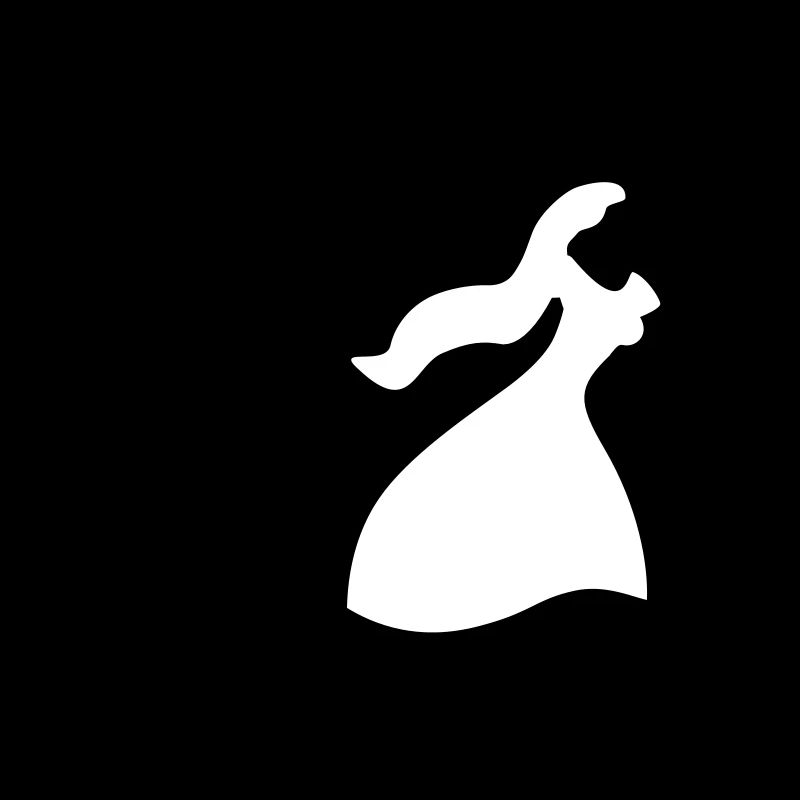 enterrement de vie de garçon et de jeune fille
