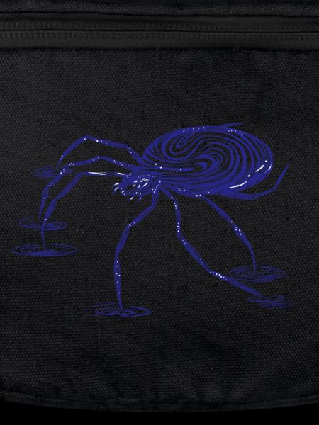 Little Spider