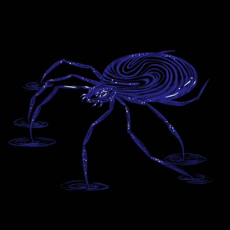 Petite araignée