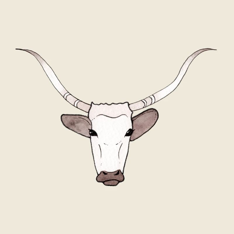 Stier