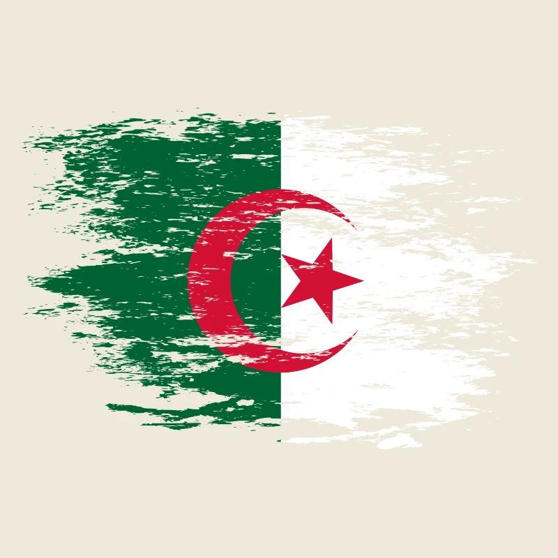 Algeria flag used