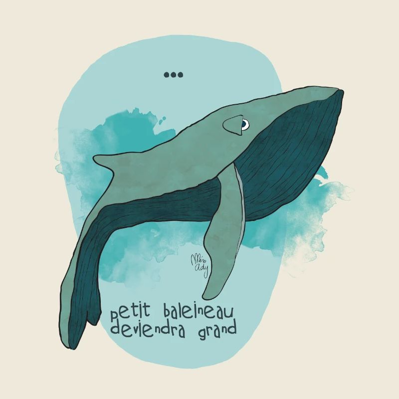 baleine