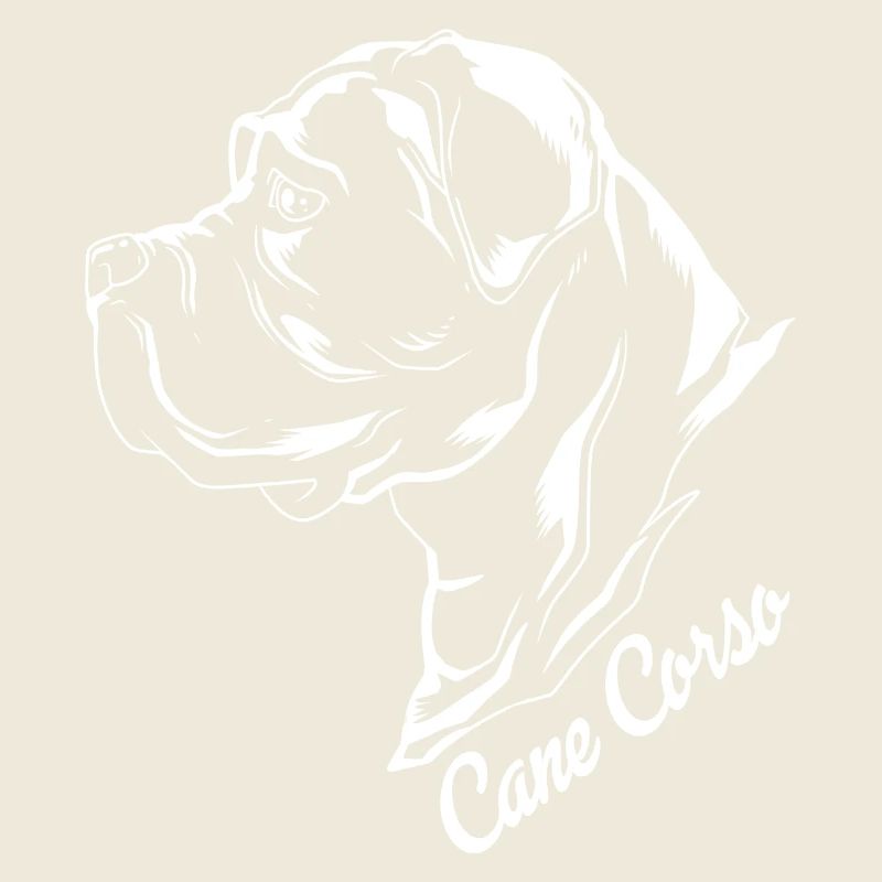 Cane Corso Zeichnung