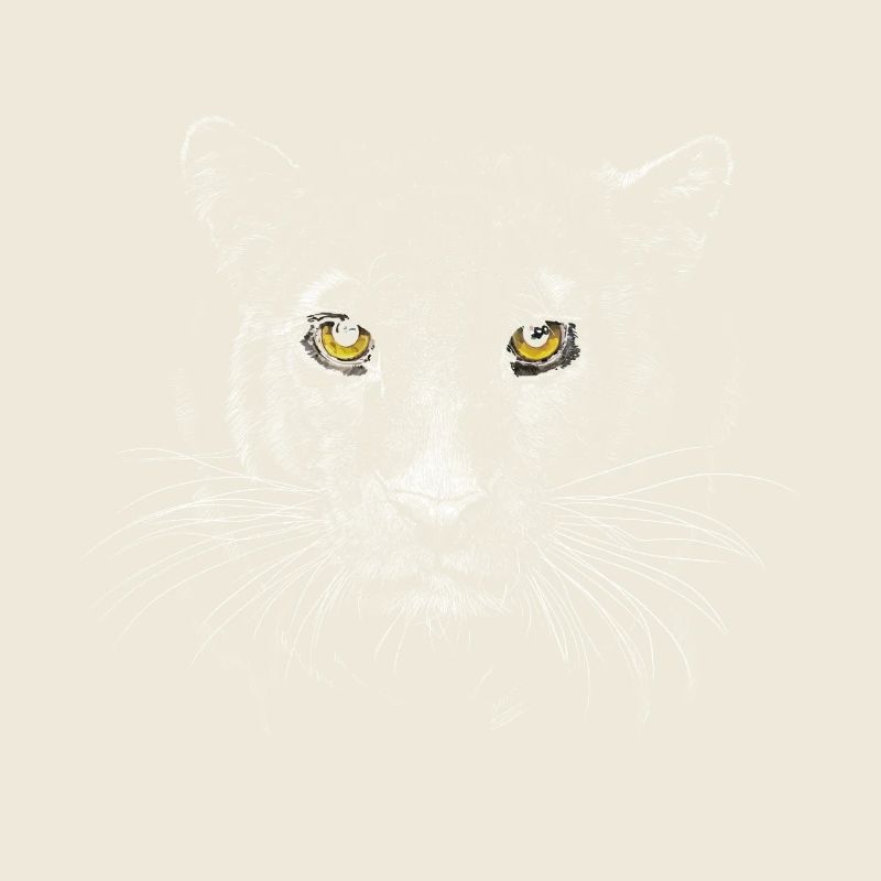Panther