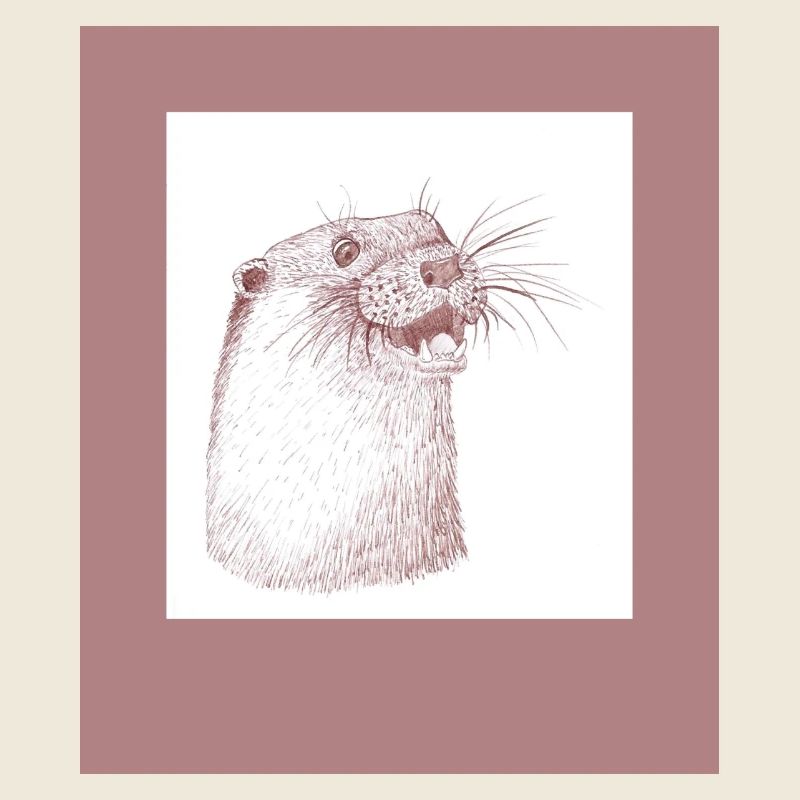 230816 Otter 2