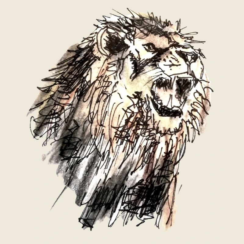 lion