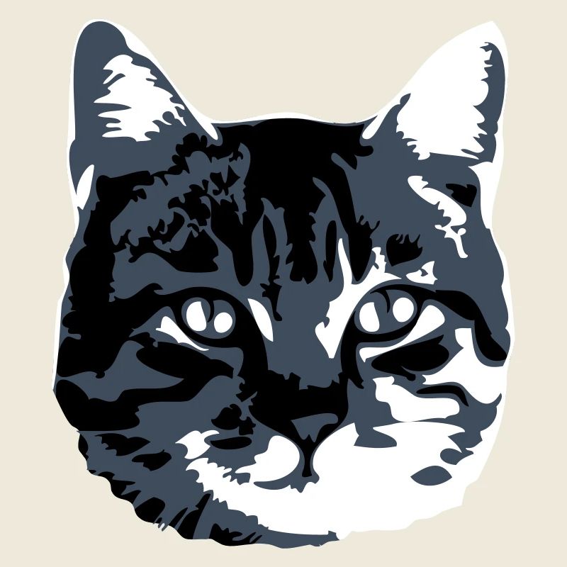 Cat Realistic Pet Cute Cute Kitten