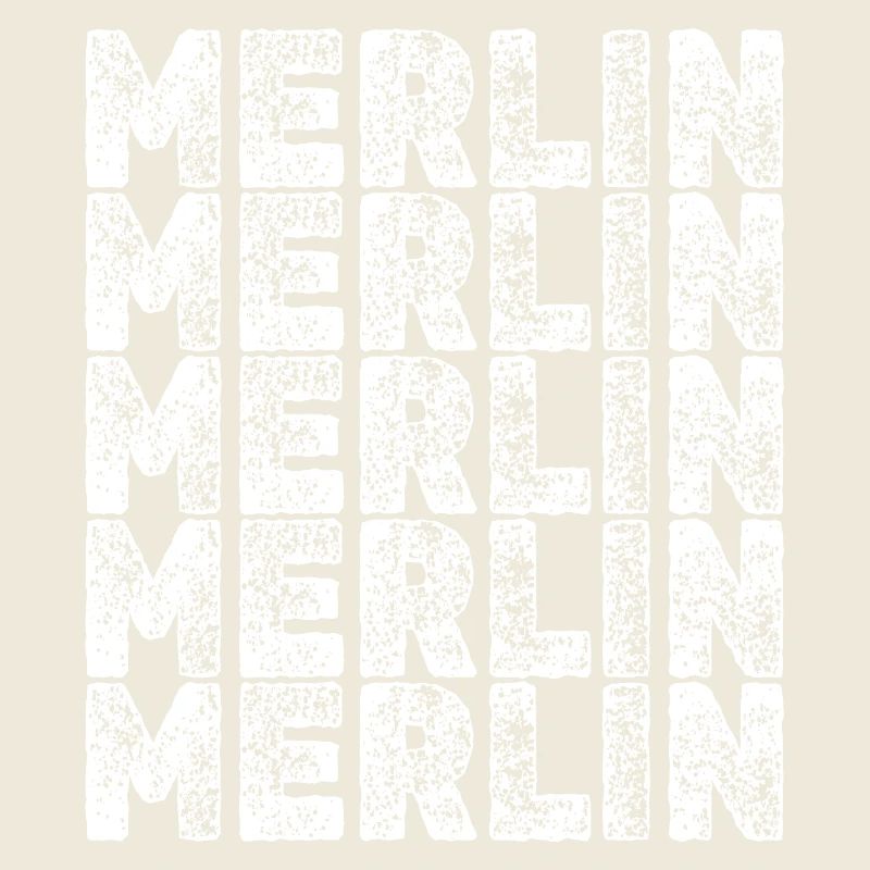 Hero Merlin