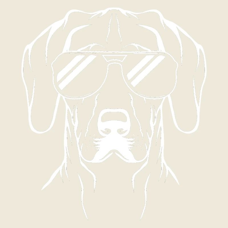 Deutsch Kurzhaar Hund German Pointer