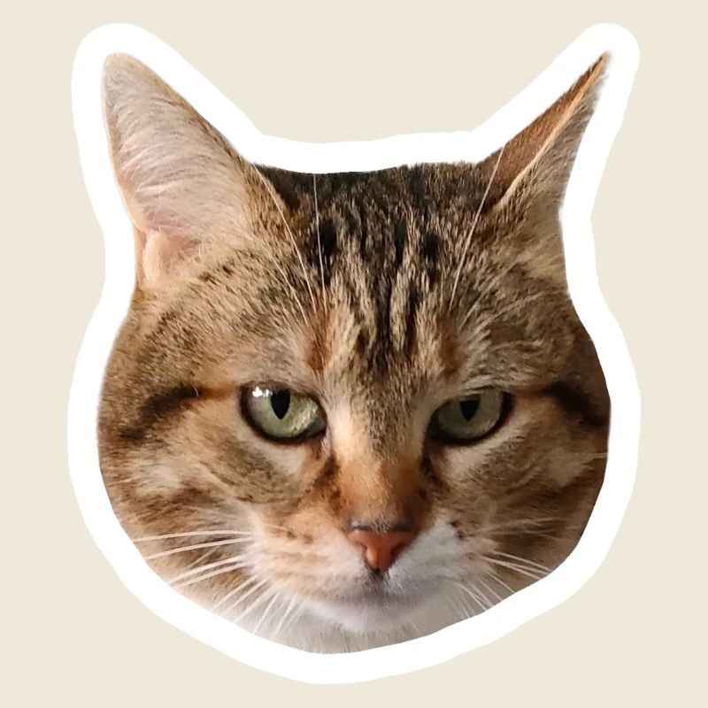 Missty Sad Decal