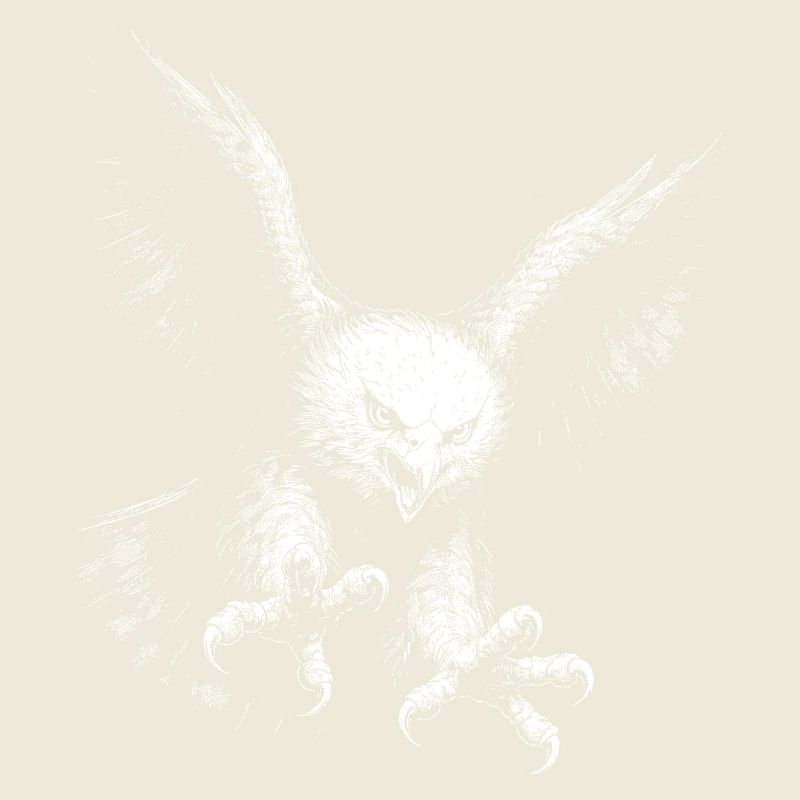 Pygargue à queue blanche