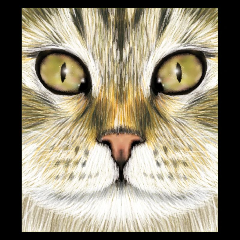 Norwegian Forest Cat