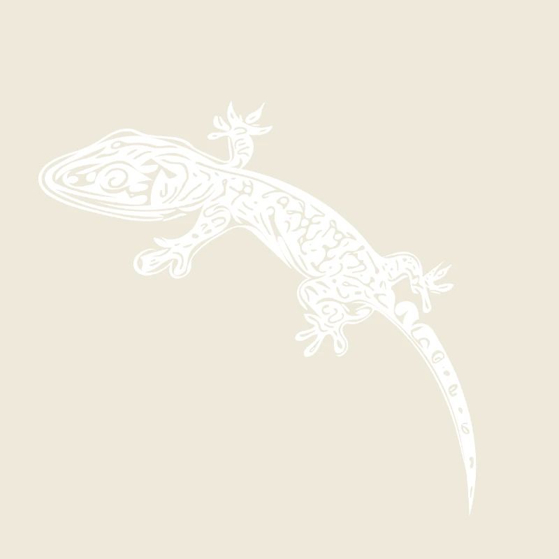 Petit gecko sur le mur