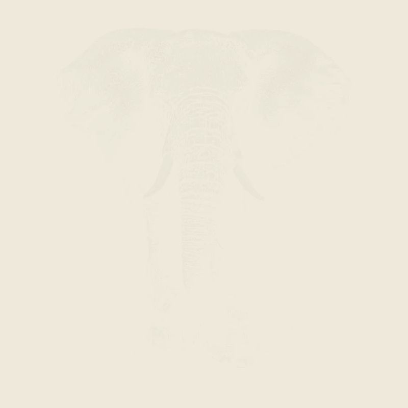 Elefant