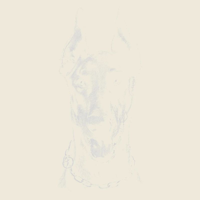 Doberman
