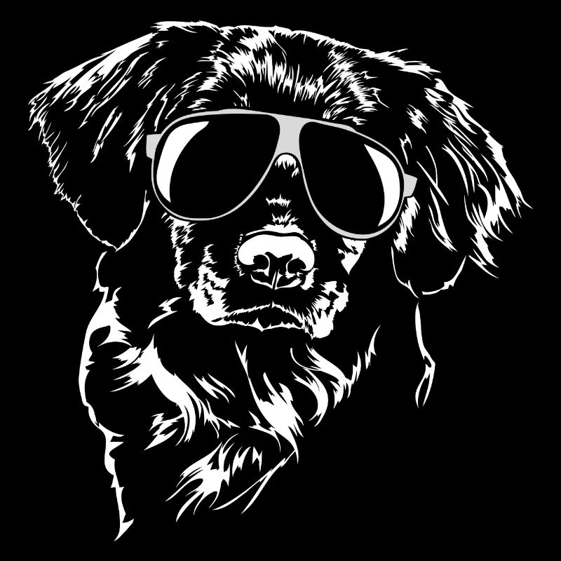 NOVA SCOTIA DUCK TOLLING RETRIEVER cool