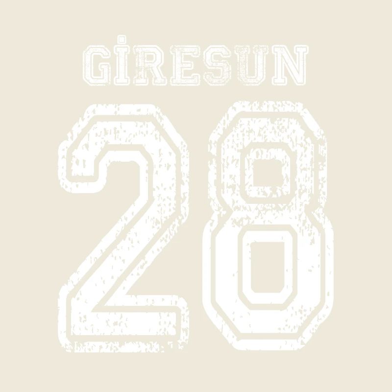 28 Giresun plaque d'immatriculation turque comme un cadeau