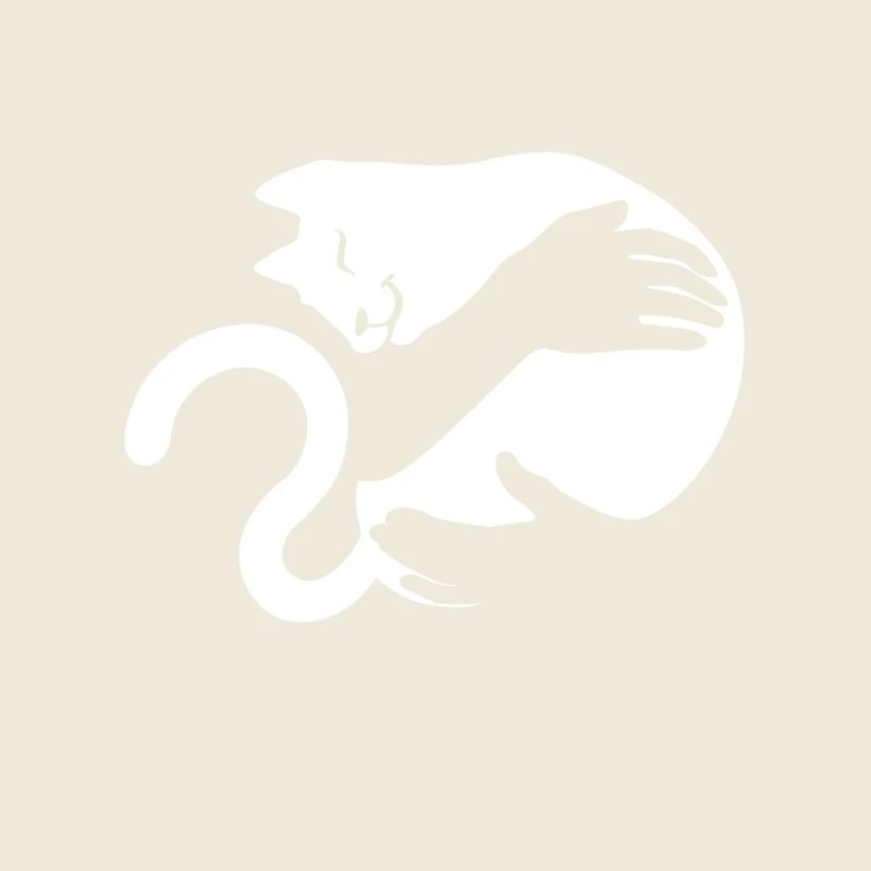 Schmusekatze wird von Armen gehalten.