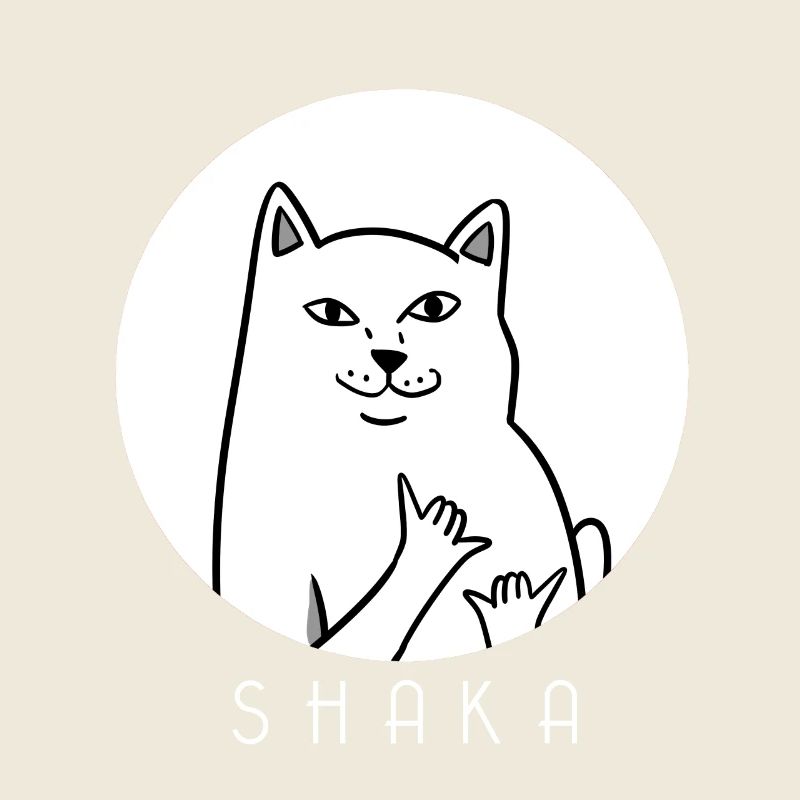 MEME CAT - Shaka - chat - chaton