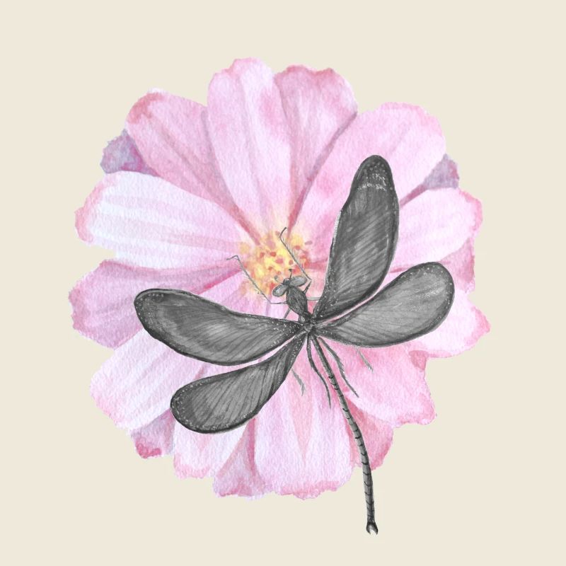 Libellule avec une fleur rose tendre