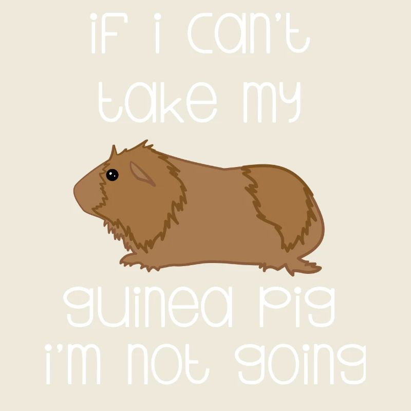 Guinea Pig - Guinea Pig - Funny