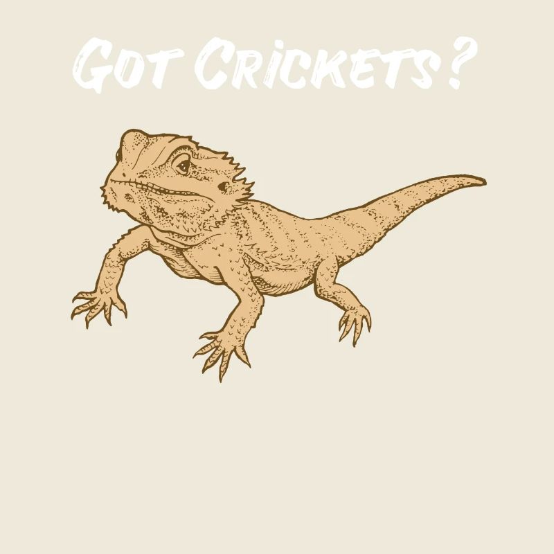 Bartagame Reptile Lézard Gecko Doublure Grillen