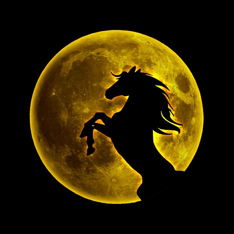 Vollmond Pferd