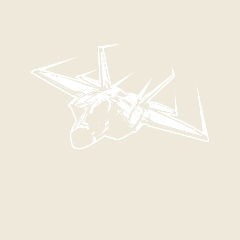 Pilot Kampfjet Militär Flugzeug Düsenjet