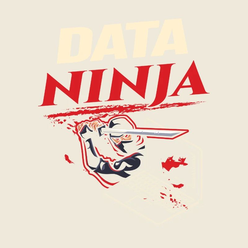 Data Ninja computer programming coder