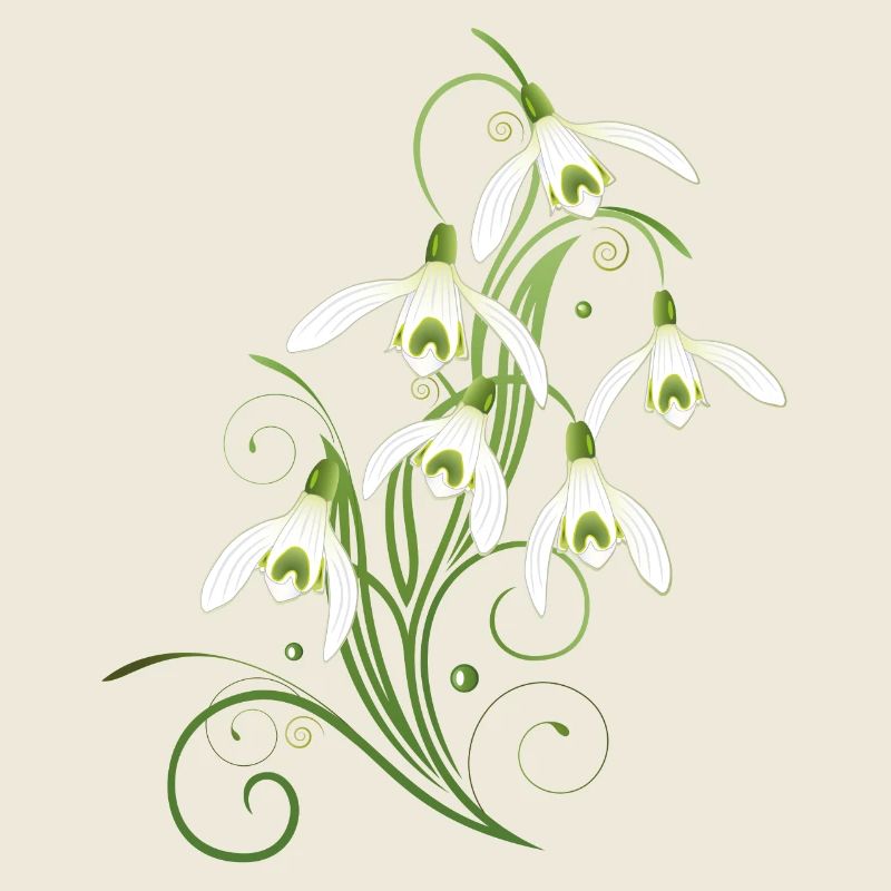 Fleurs de perce-neige. Le printemps arrive.