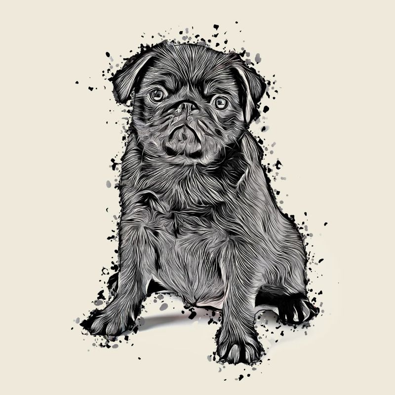 idée cadeau chiot carlin mignon chemise carlin carlin