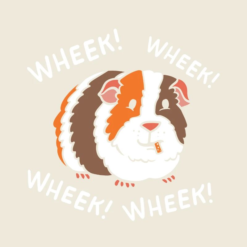 Meerschweinchen