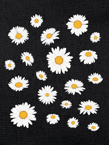 Daisy