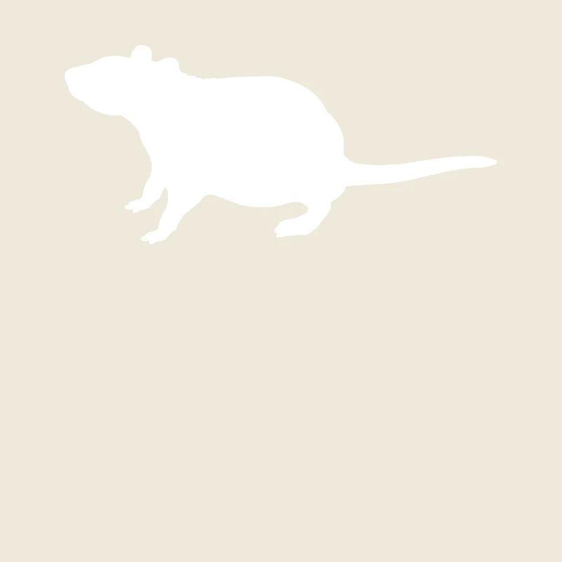 Ratte